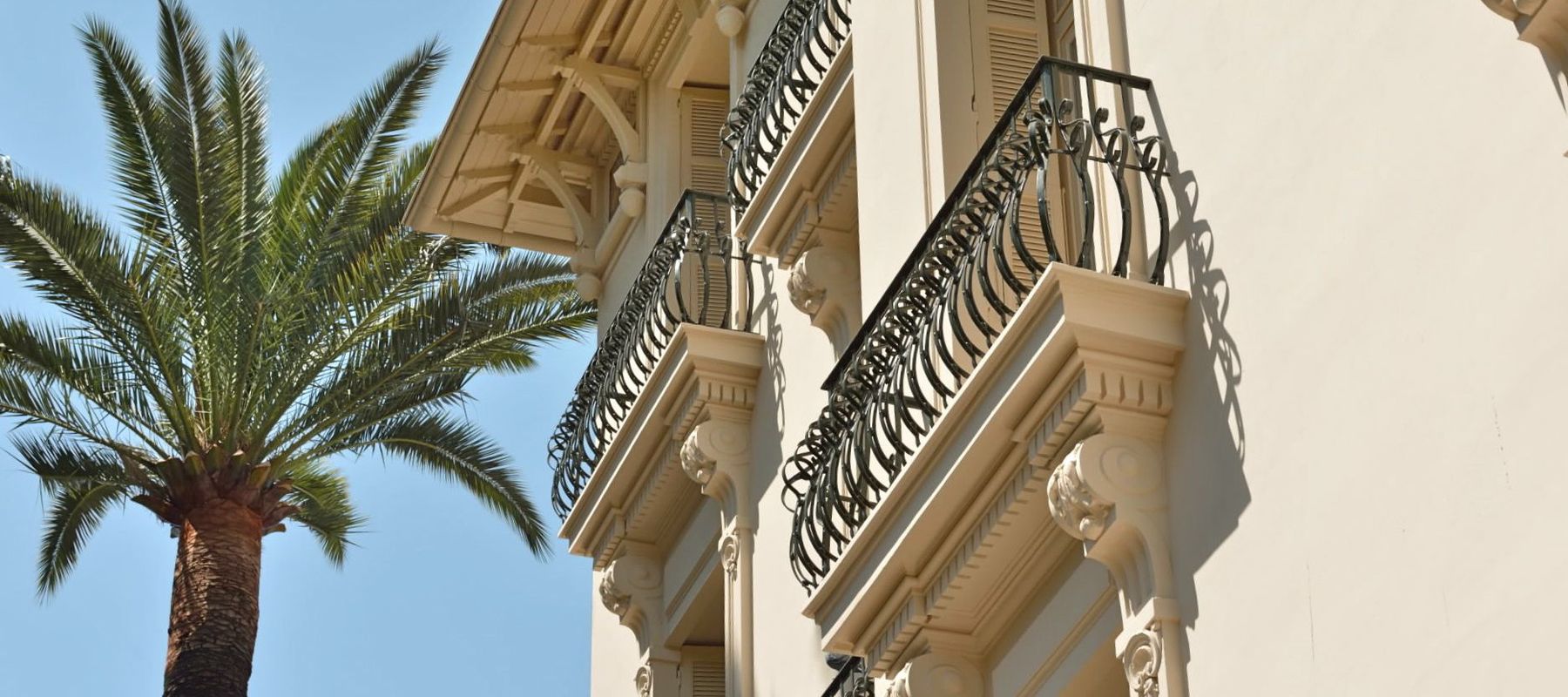 Façade Belle Époque et palmier sur la colline de Cimiez